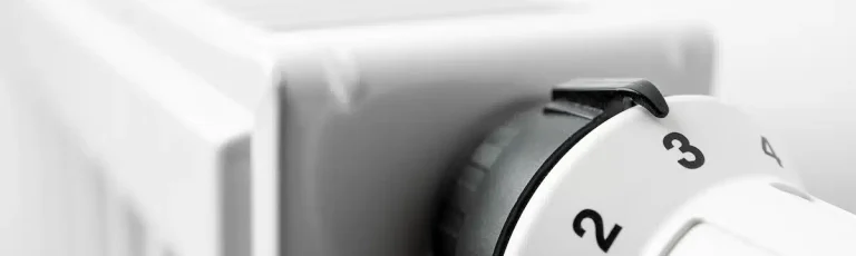 Thermostat & radiator